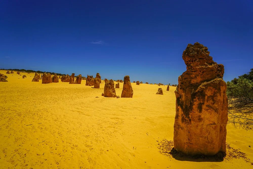 The Pinnacles Desert (Day Trip)