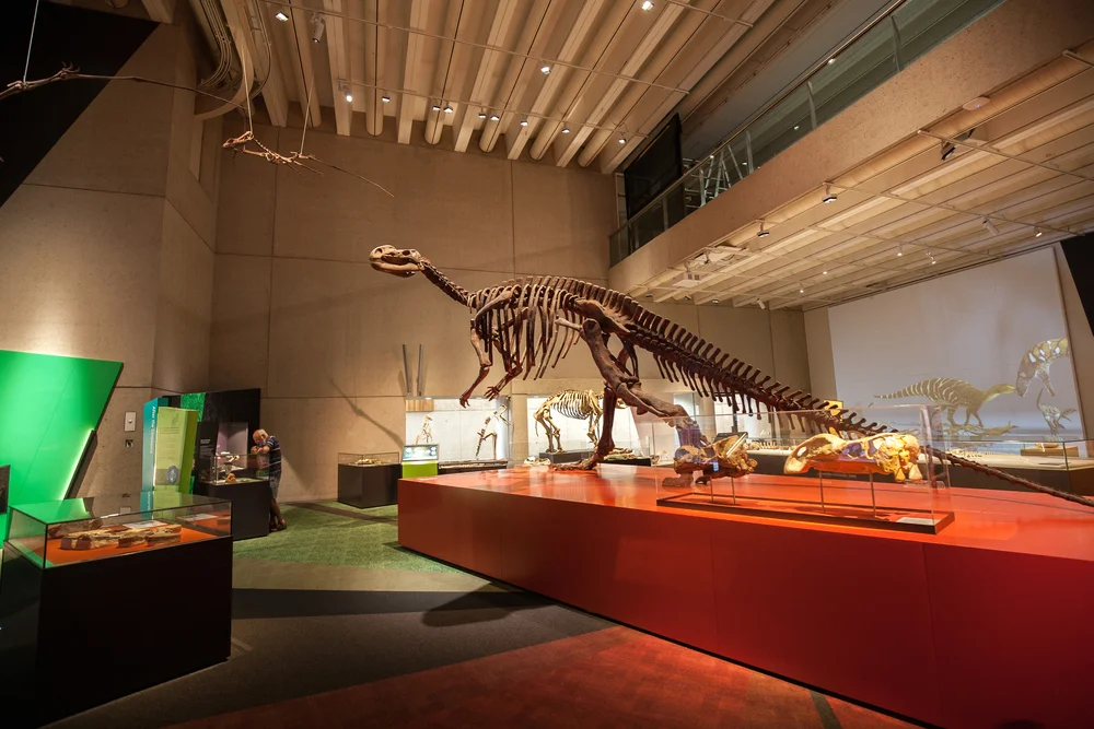 Queensland Museum