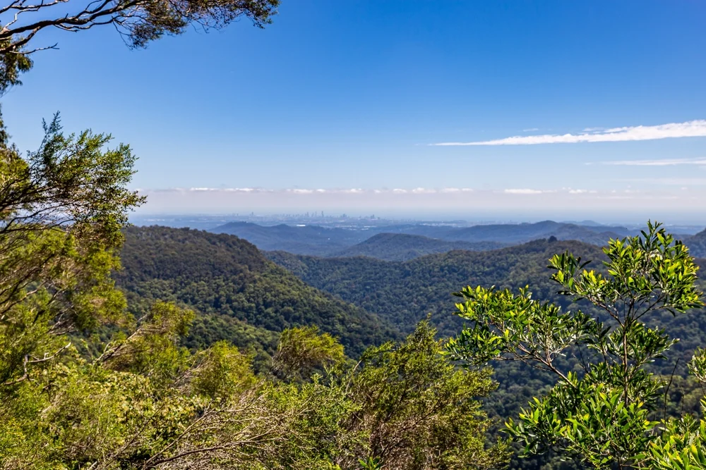 Springbrook National Park
