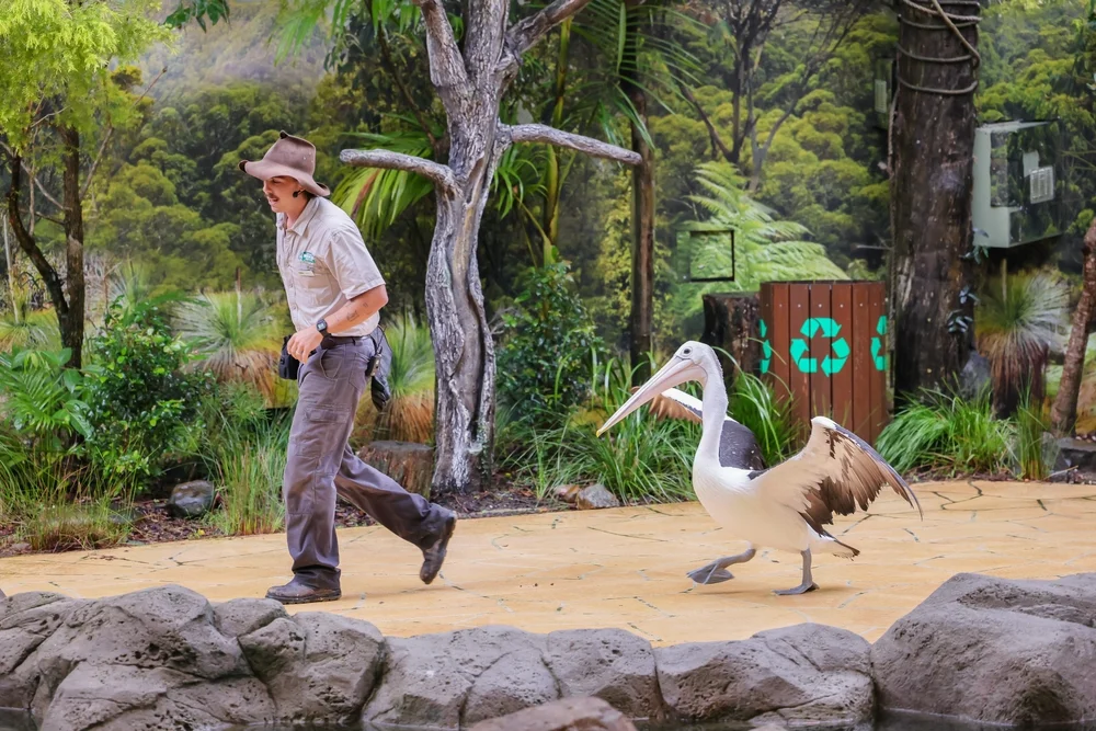 Currumbin Wildlife Sanctuary