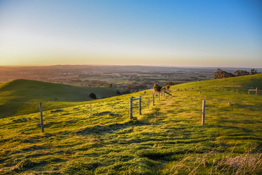 Barossa Valley