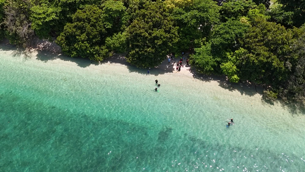 Fitzroy Island