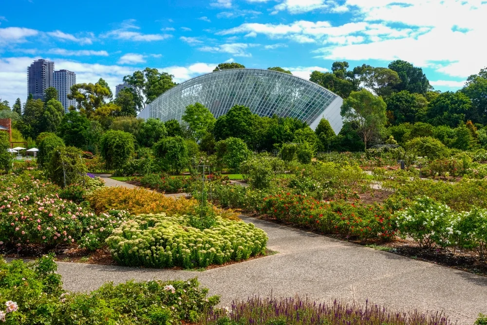 Adelaide Botanic Garden