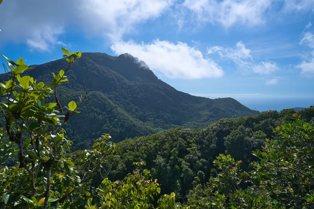 Morne Seychellois Summit Viewpoint
