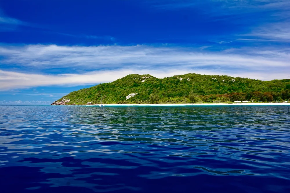 Bird Island