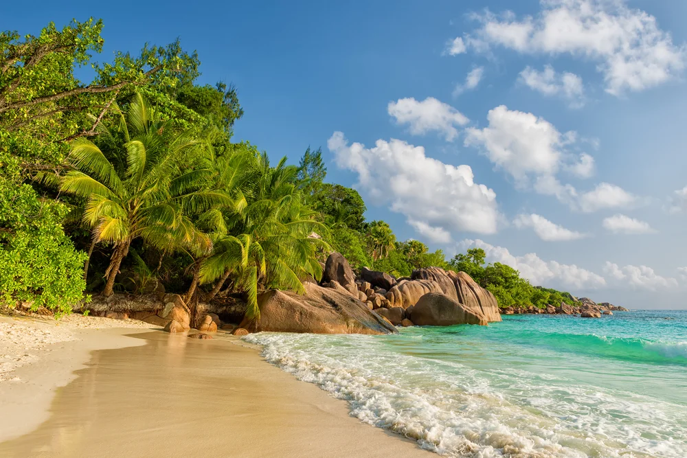 Relax at Anse Lazio Beach