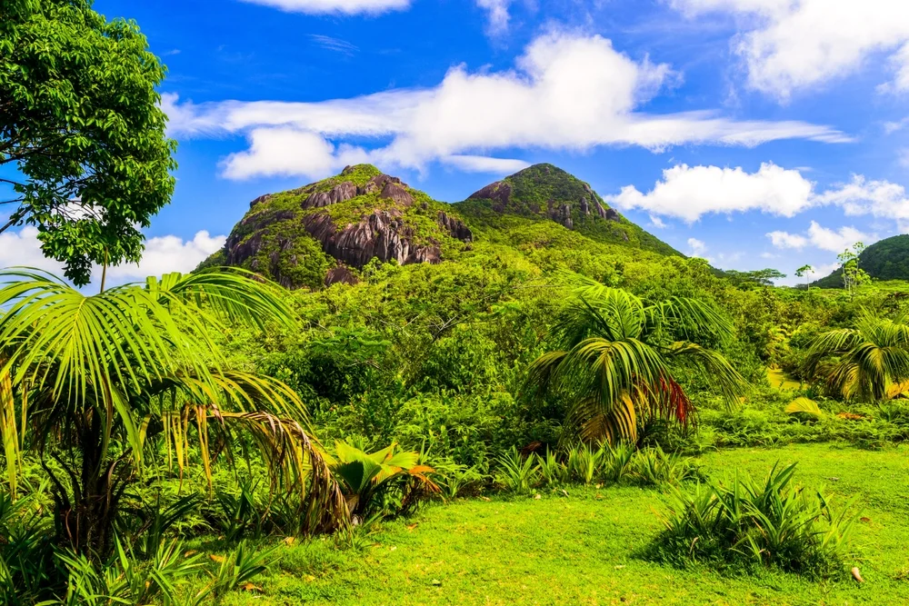 Hike the Morne Seychellois National Park Trails