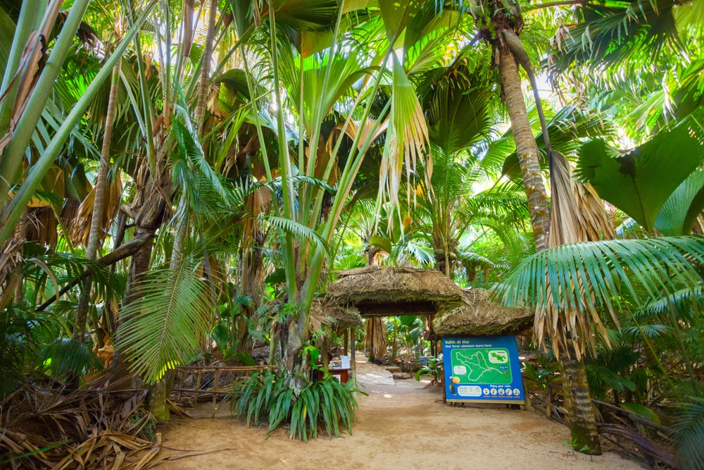  Birdwatch at the Praslin National Park