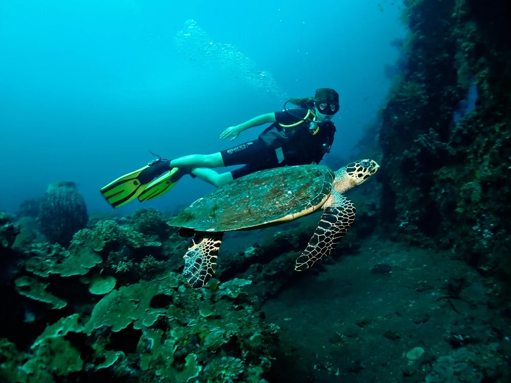 Scuba Diving with Tropical Marine Life