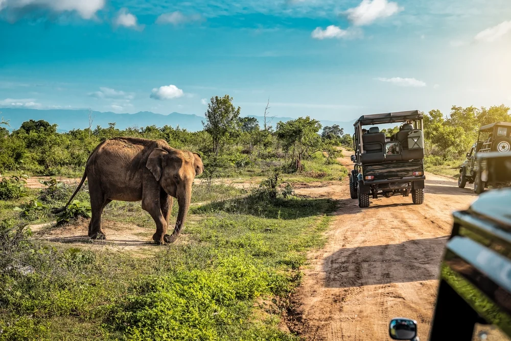 Sri Lanka