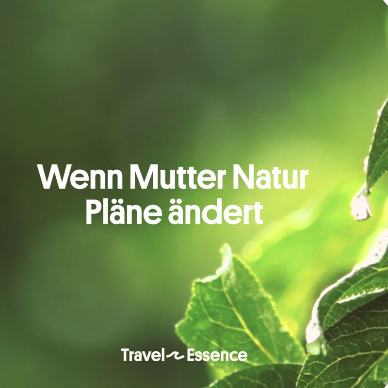 Illustration mit dem Text „Wenn Mutter Natur Pläne ändert“ auf grünem Blattgrund, TravelEssence