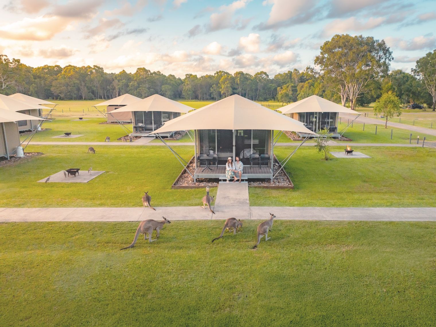 Glamping accommodation, close up kangaroo experience, Noosa
