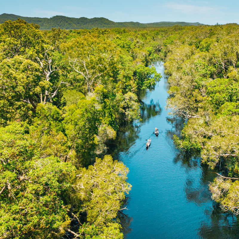 Kayakers paddle through the Noosa Everglades in Queensland, Australia