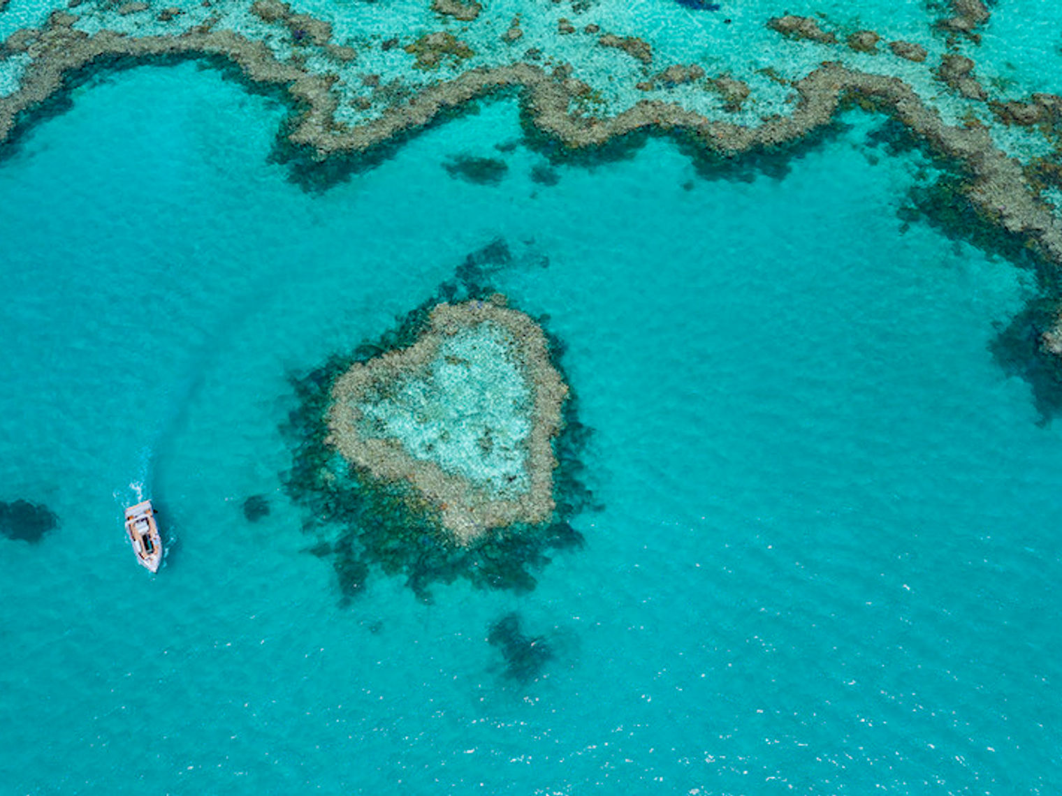 Ein Boot segelt um Heart Reef Island in den Whitsundays, Australien