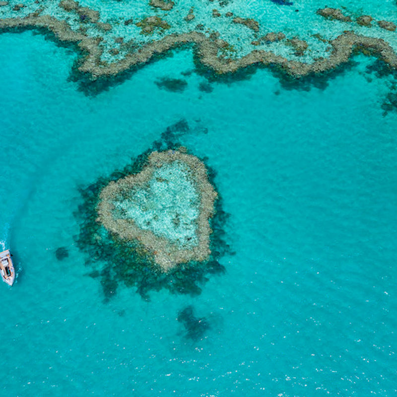 Een boot vaart rond Heart Reef Island in de Whitsundays, Australië