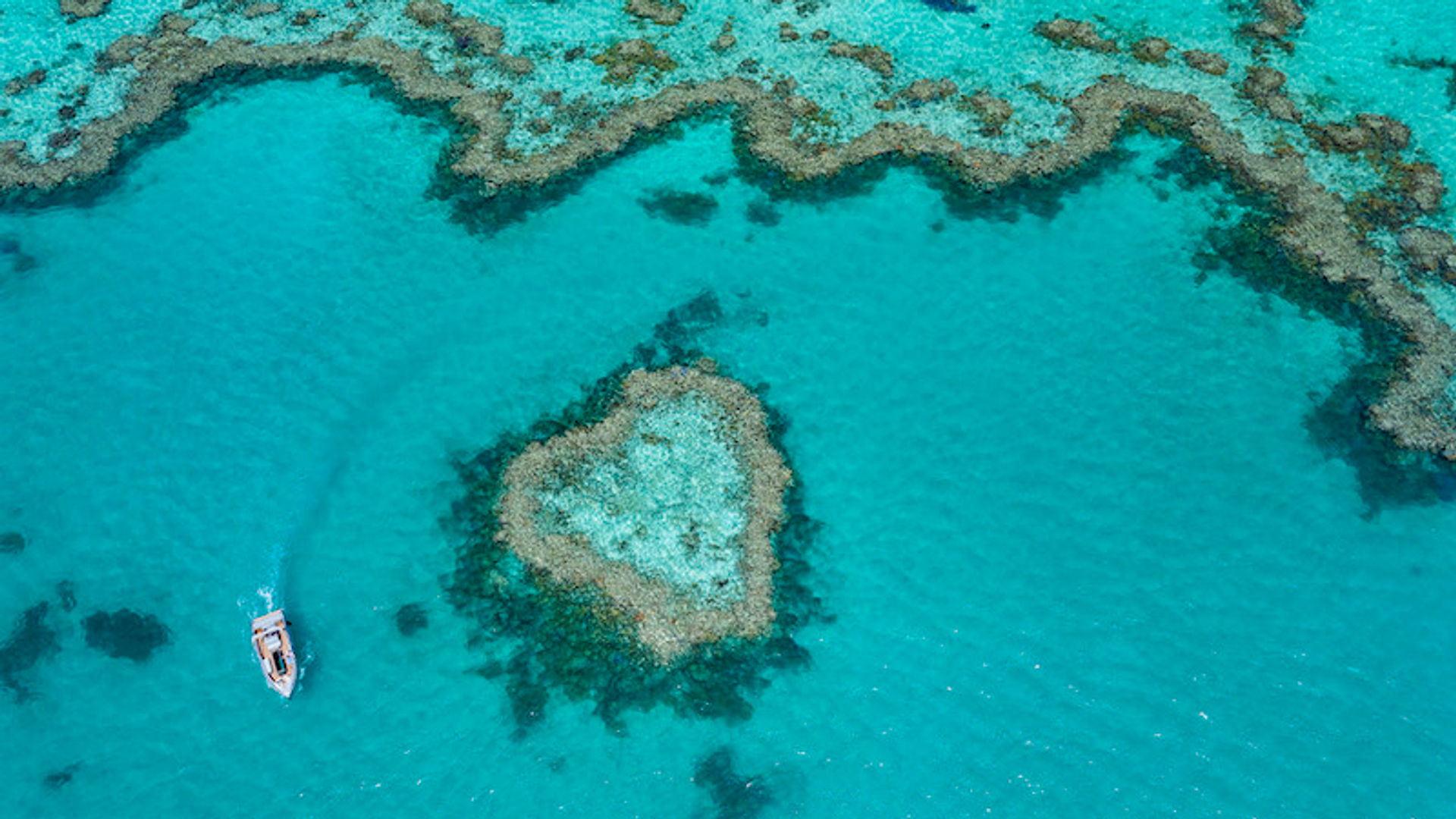 Ein Boot segelt um Heart Reef Island in den Whitsundays, Australien