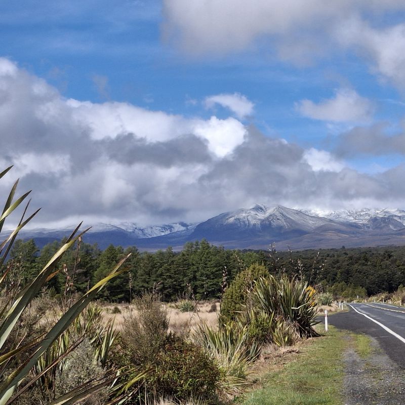 Open weg richting de besneeuwde vulkanen van Tongariro National Park, Nieuw-Zeeland