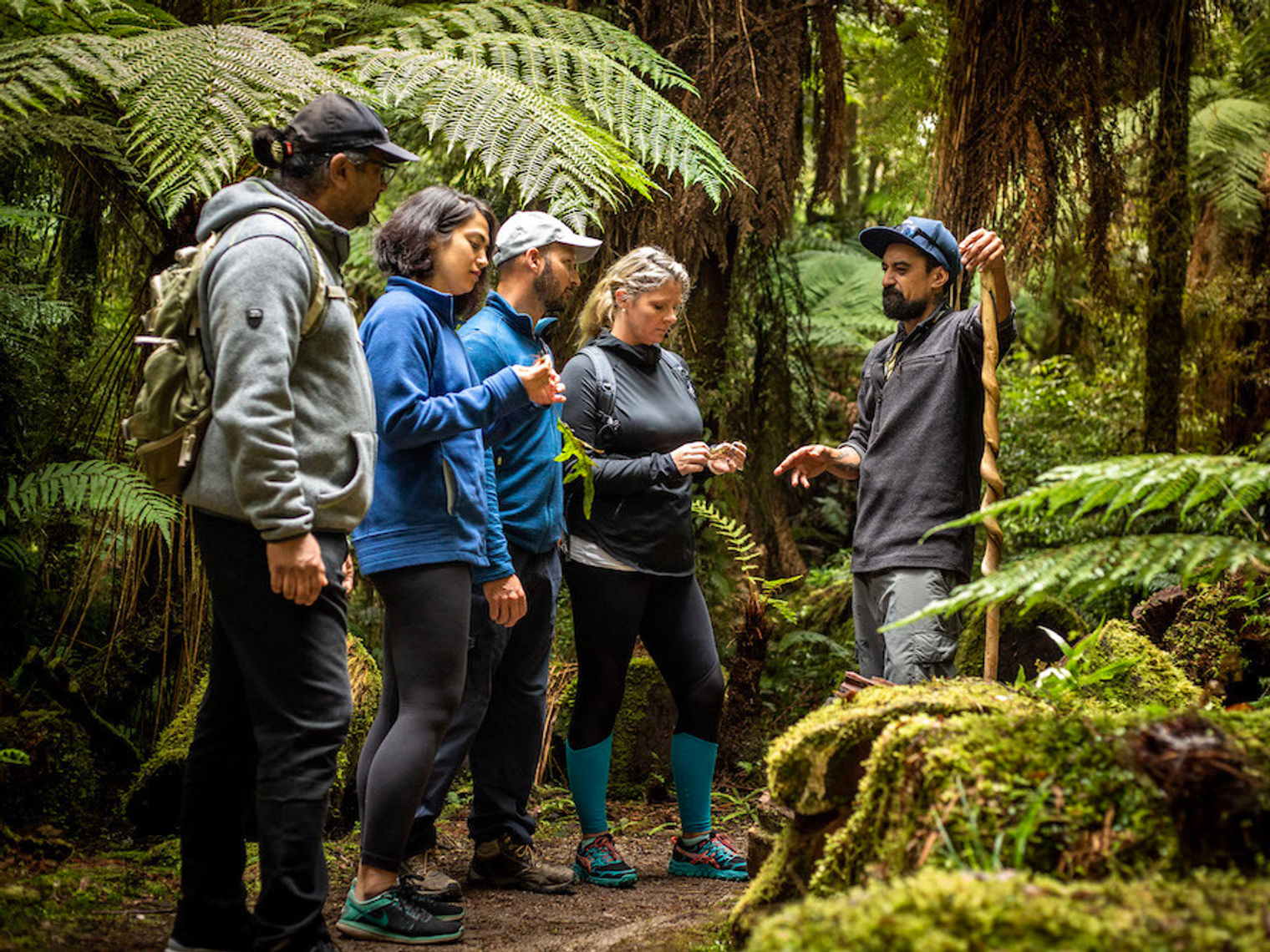 Regenwald Maori Tour