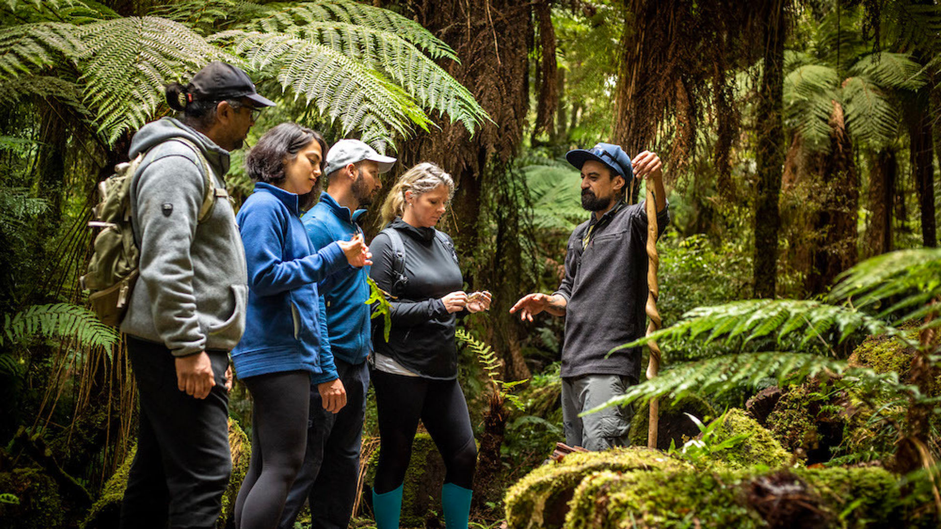 Regenwald Maori Tour