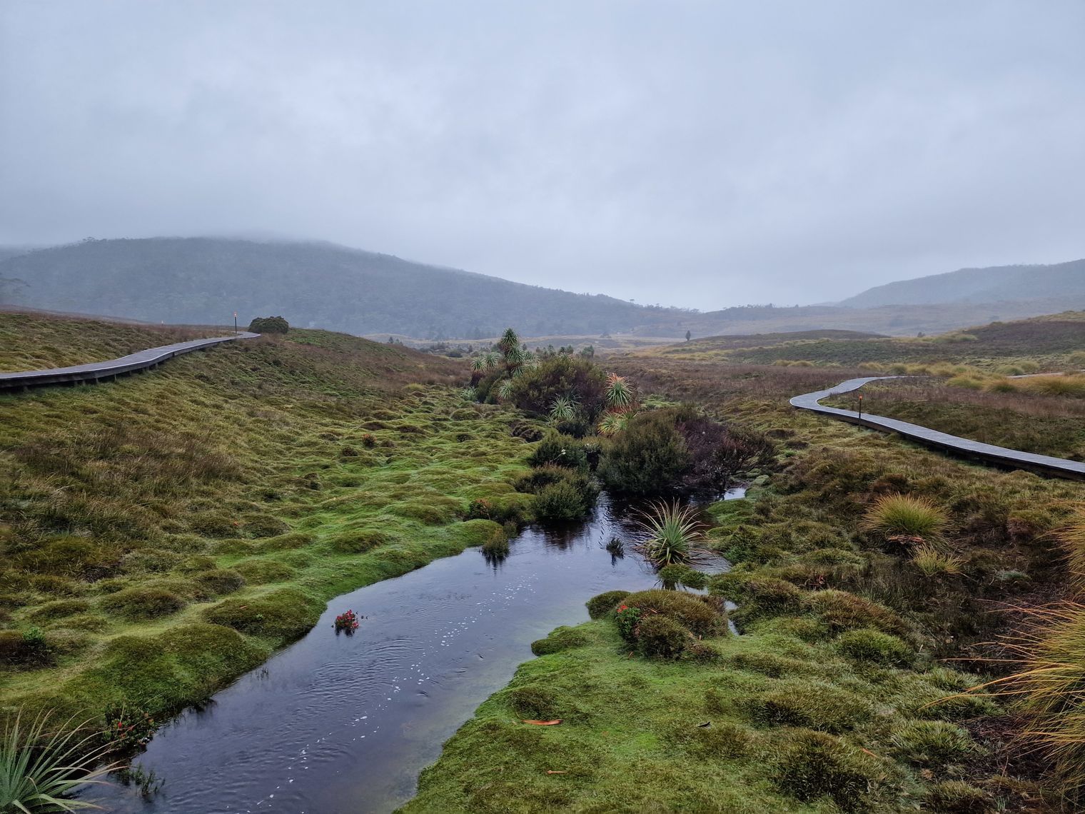 AUS TAS Cradle Mountain river Walking track