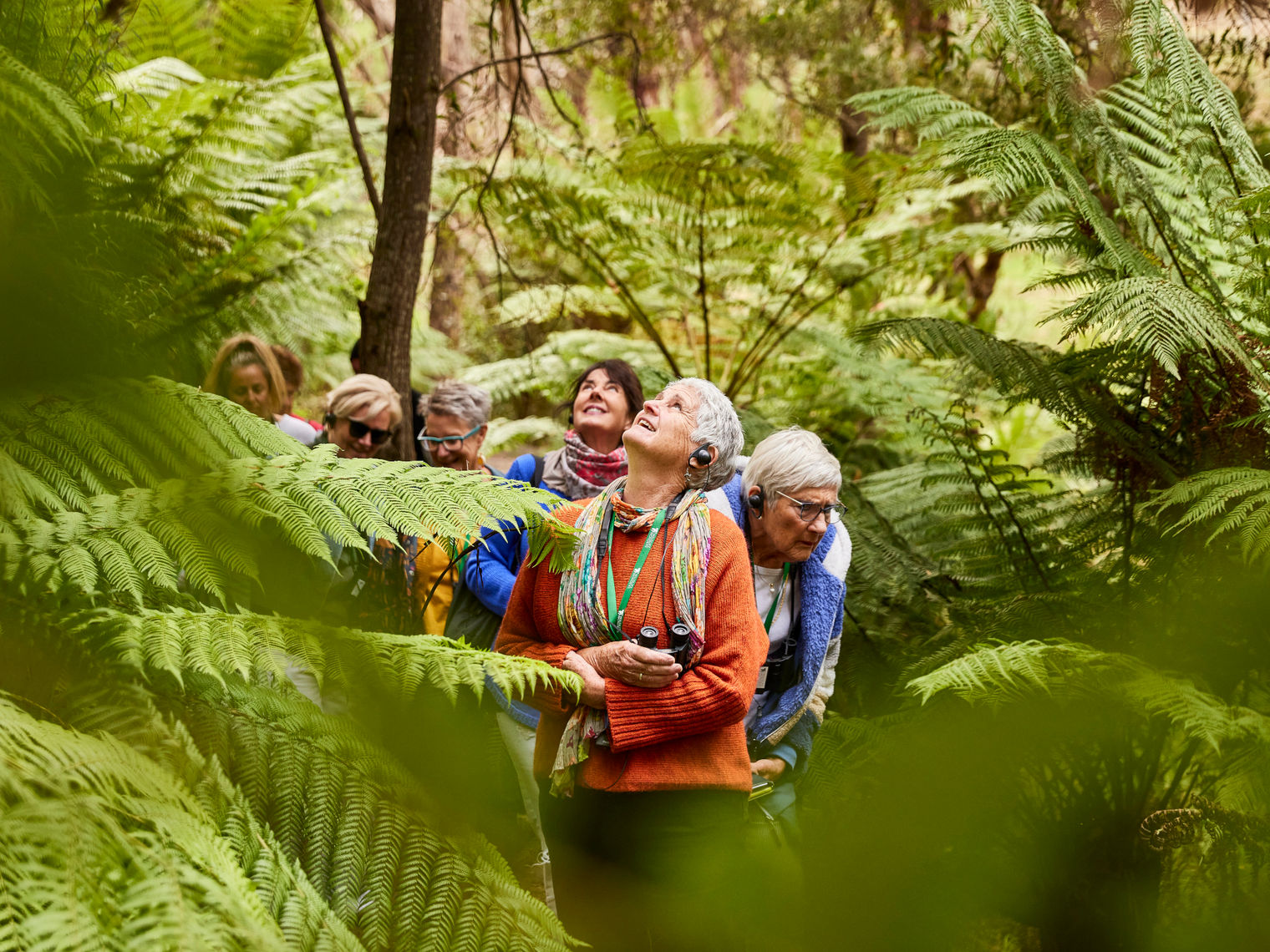 AUS-VIC-Great-Ocean-Road-ferns-guided-tour-sanctuary