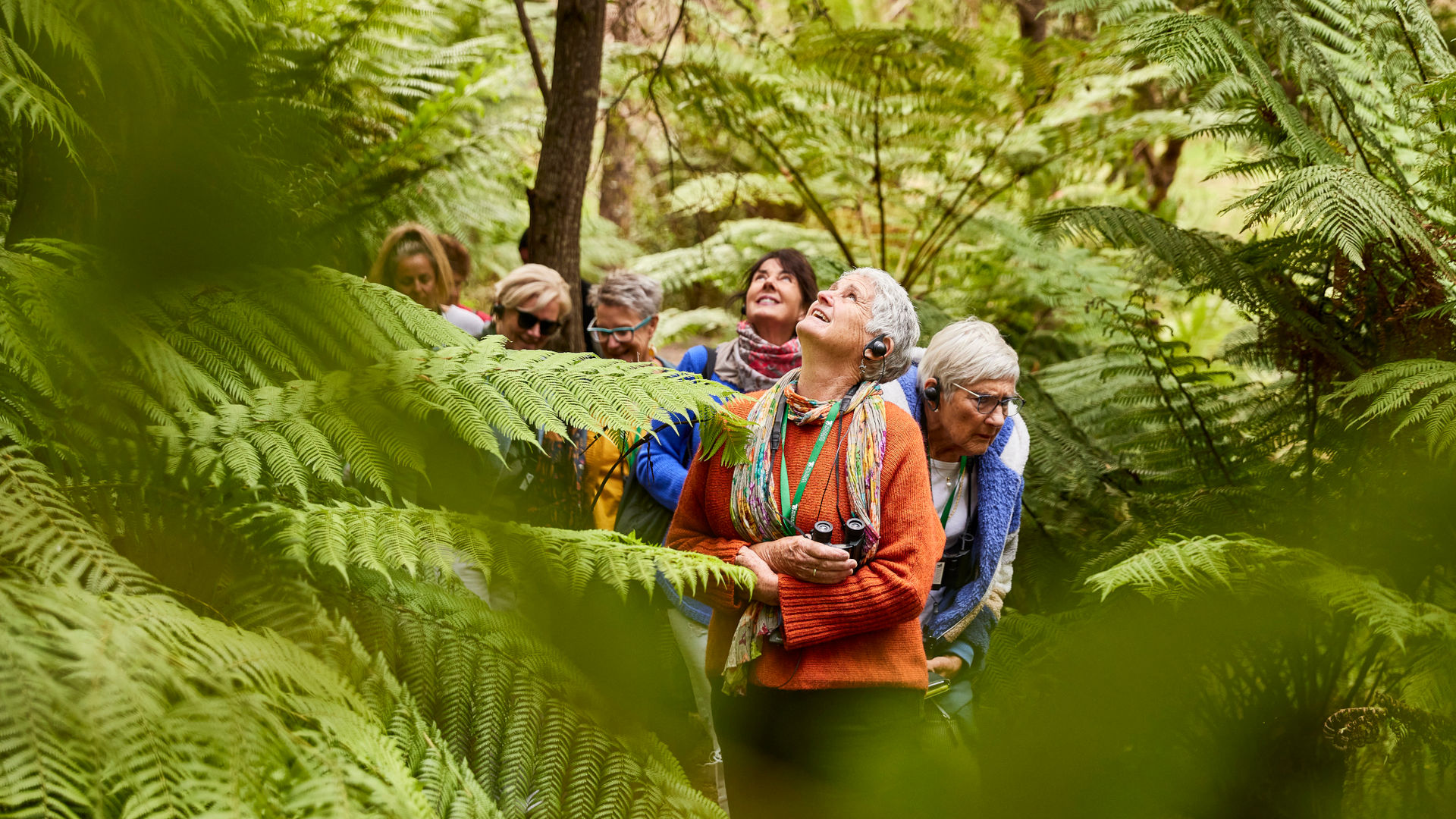AUS-VIC-Great-Ocean-Road-ferns-guided-tour-sanctuary