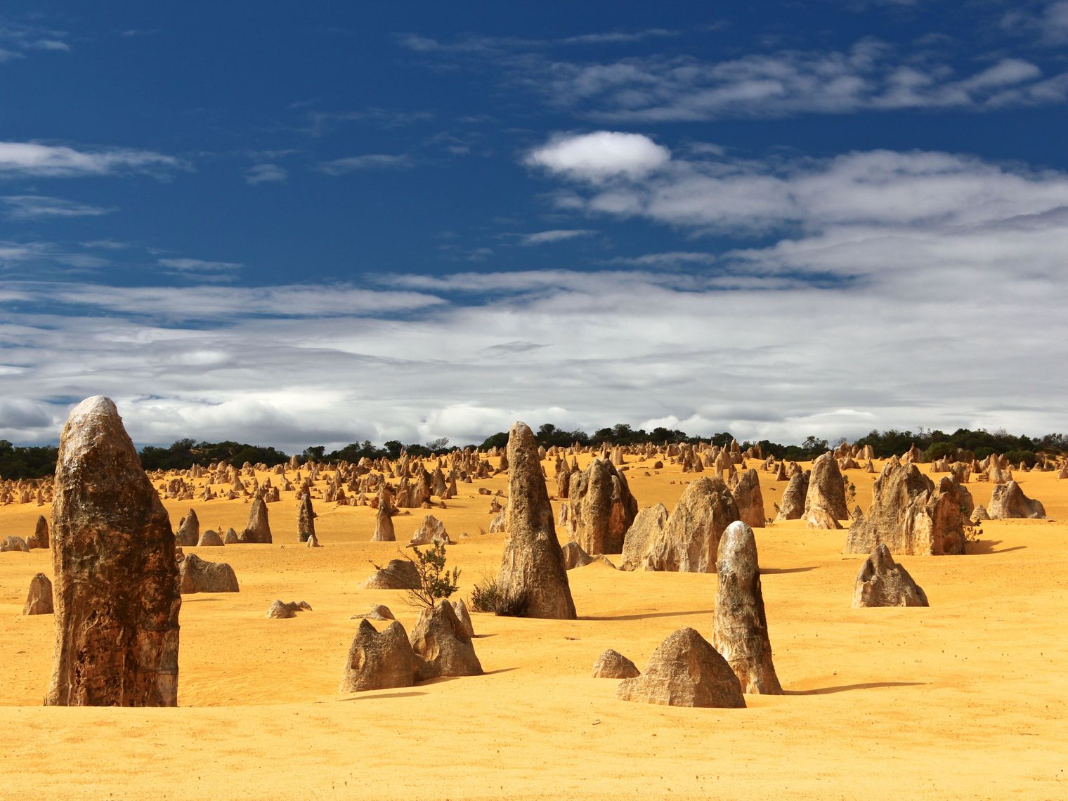 AUS WA Pinnacles tobias keller unsplash