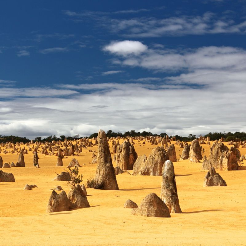AUS WA Pinnacles tobias keller unsplash