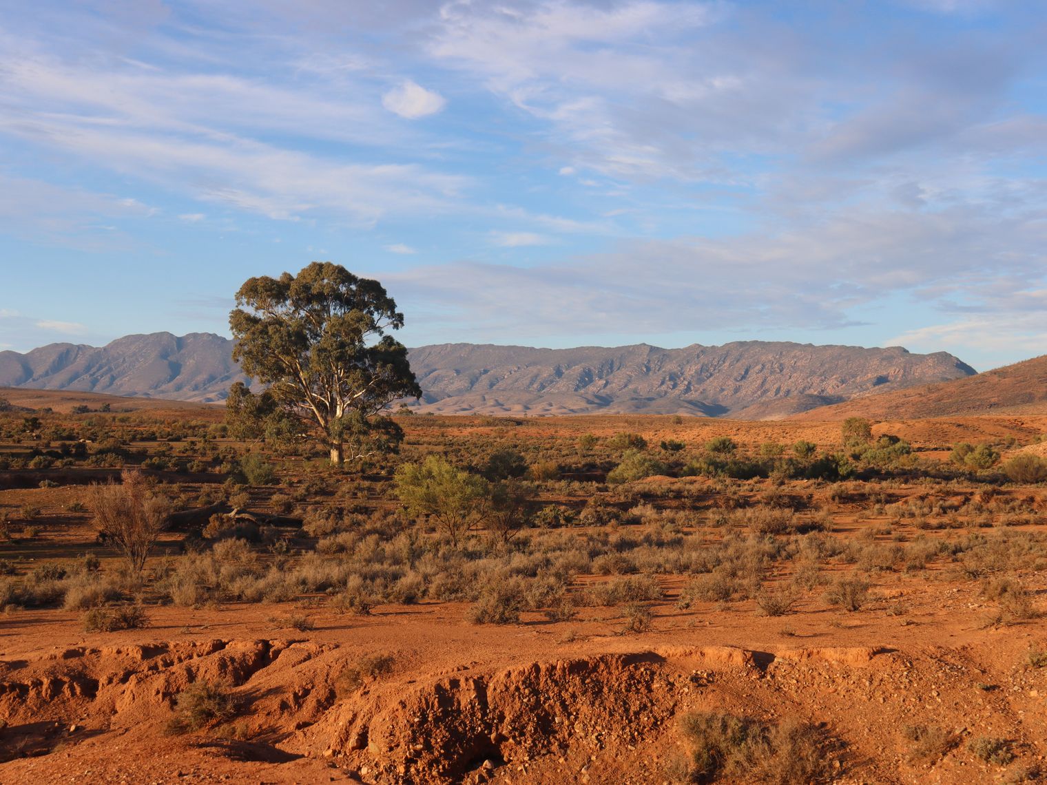 The Flinders Ranges landscape at Mt Little Station in South Australia