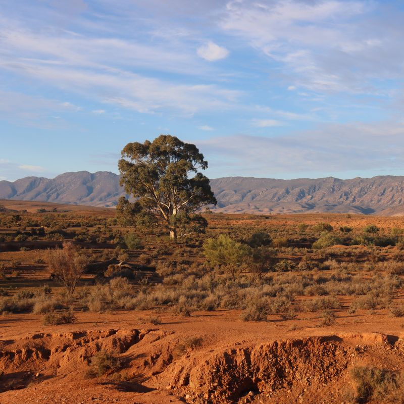 Het landschap van de Flinders Ranges bij Mt Little Station in Zuid-Australië