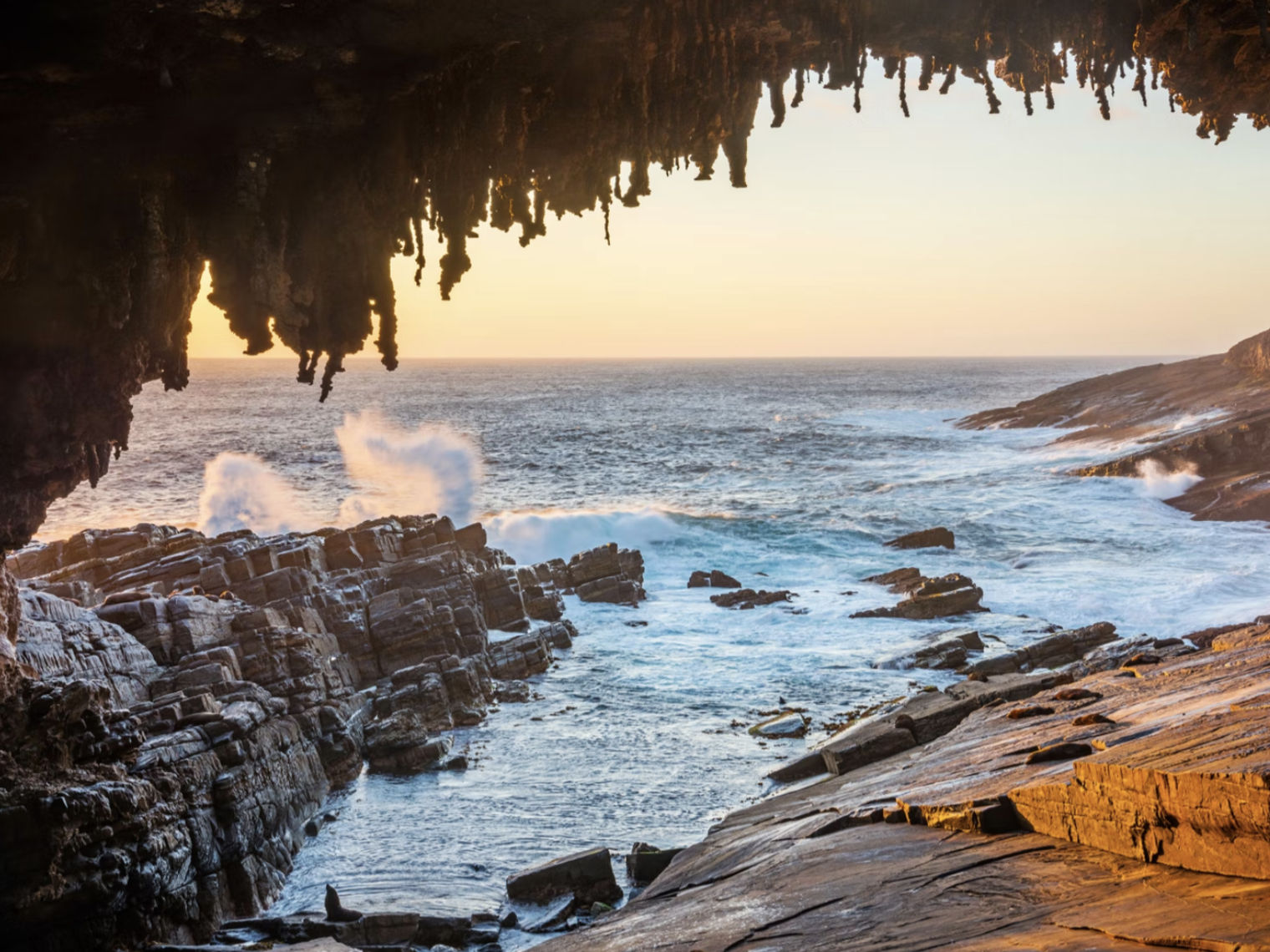 Blick auf das Meer vom Admirals Arch in Australien, Kangaroo Island