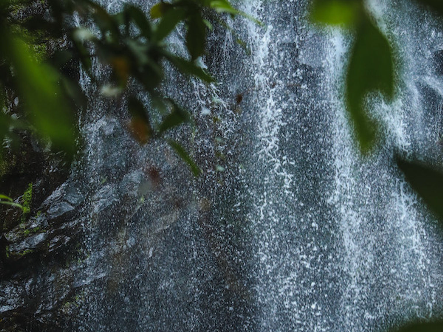 Australien Tropical North Queensland Atherton Ellinjaa Falls
