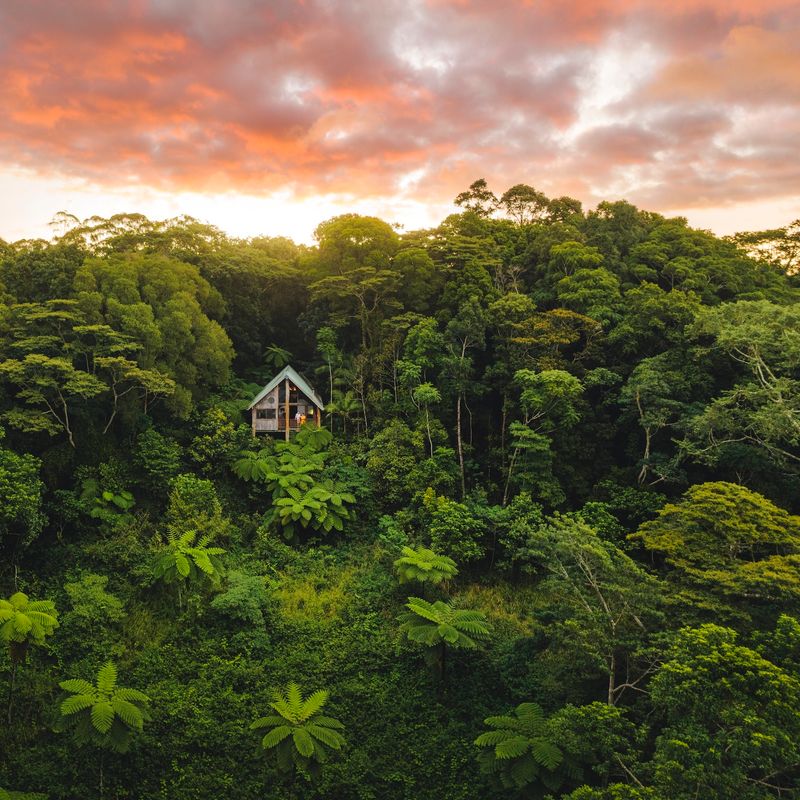 Een houten huis in het tropische woud, Atherton Wilderness Retreat in Australië