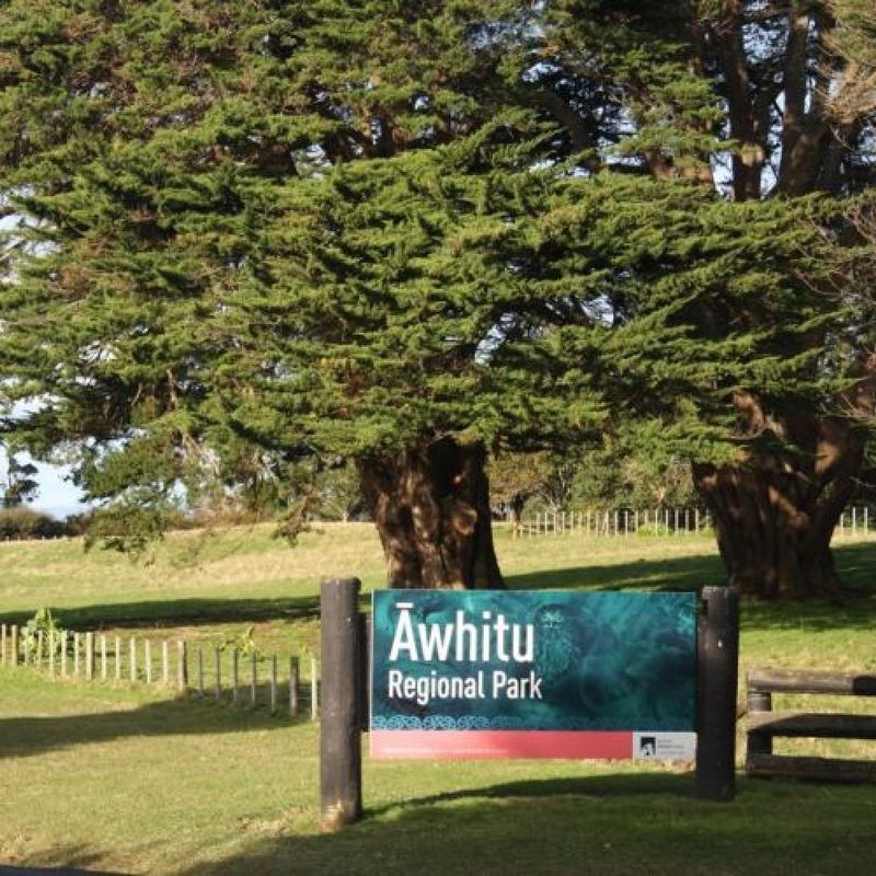 Auckland South 1614695946 Auckland South2