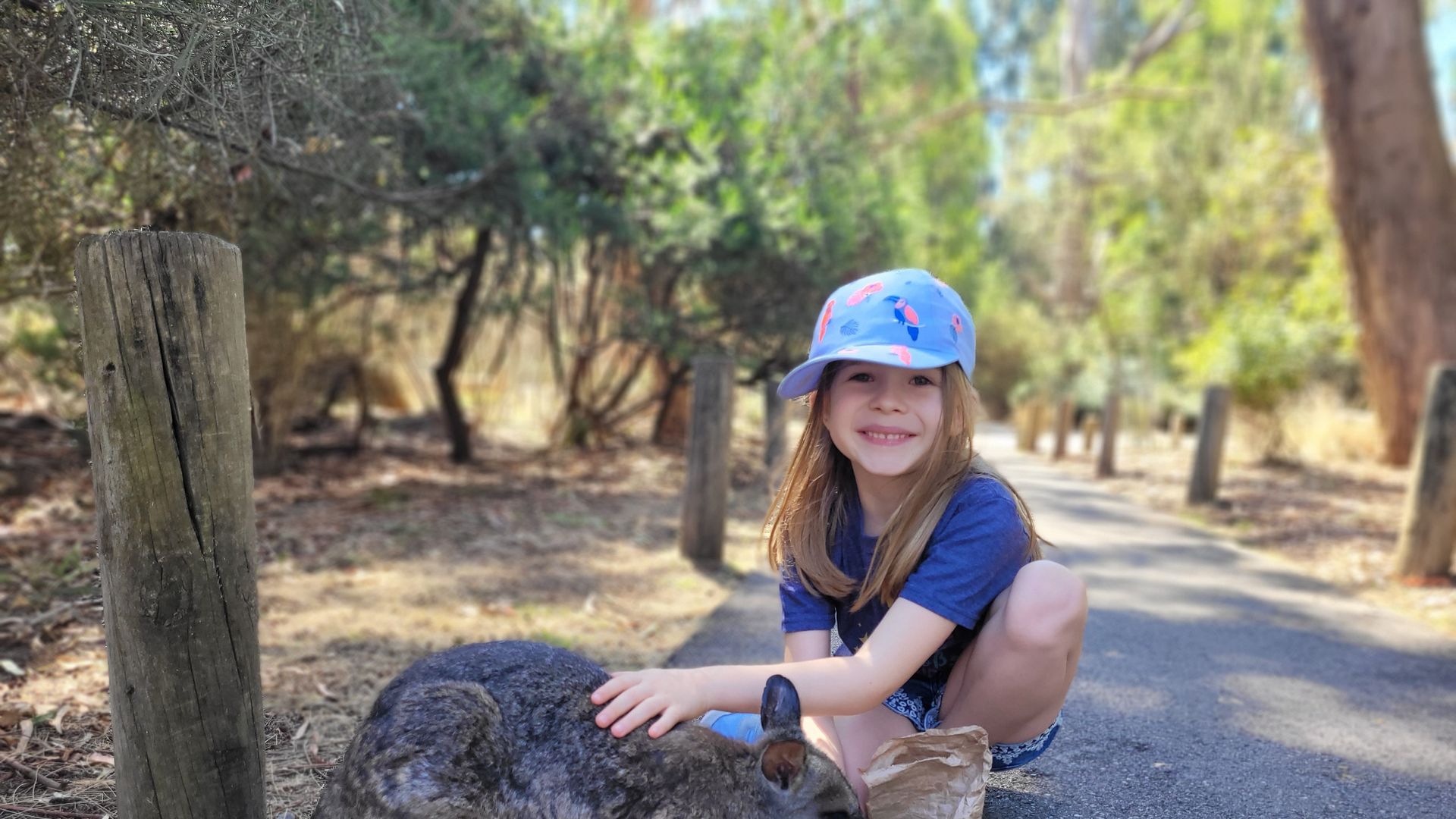 Mädchen streichelt ein Känguru in einem Wildpark in Australien
