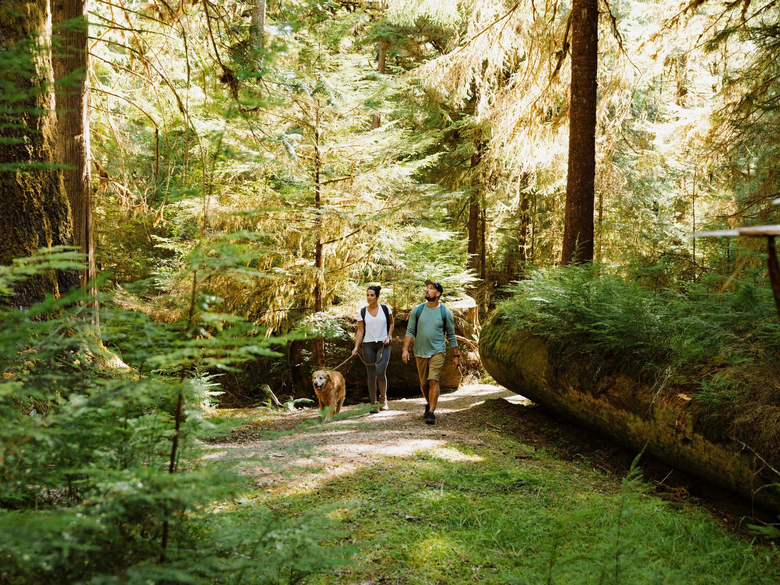 A couple and a dog walking through the forest in Canada