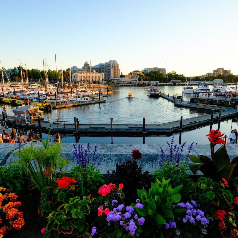 Vancouver Island Inner Harbour