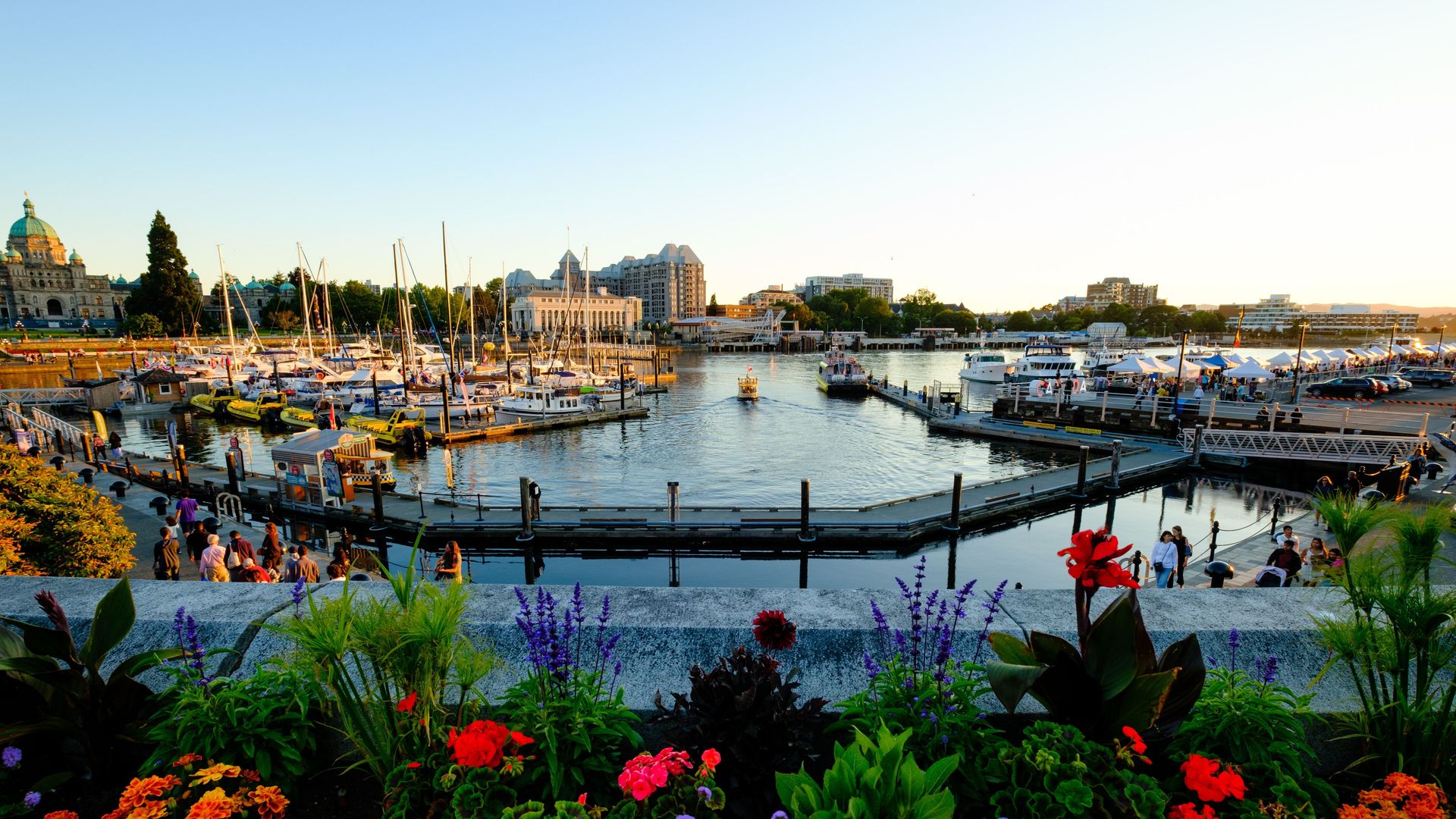 Uitzicht op de haven van Vancouver Island met zeilbootjes en bloemen op de voorgrond