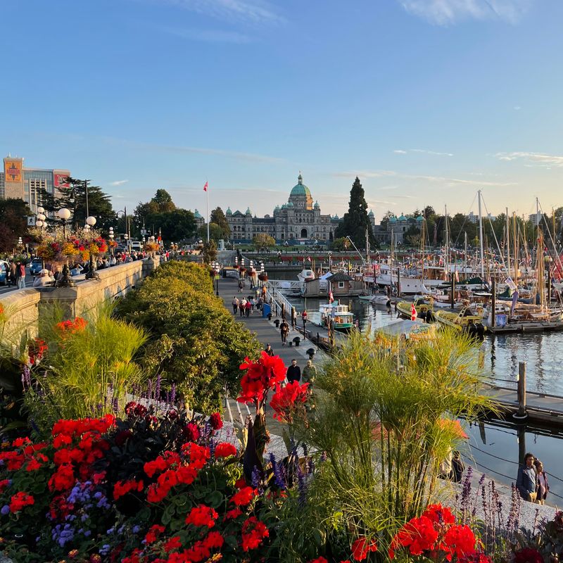 view overlooking the inner harbour of Victoria BC, people walking alongside the docked boats