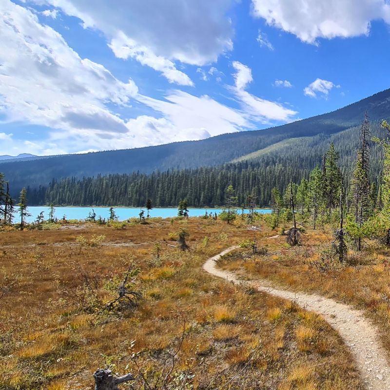 CA Yoho National Park Panorama trail