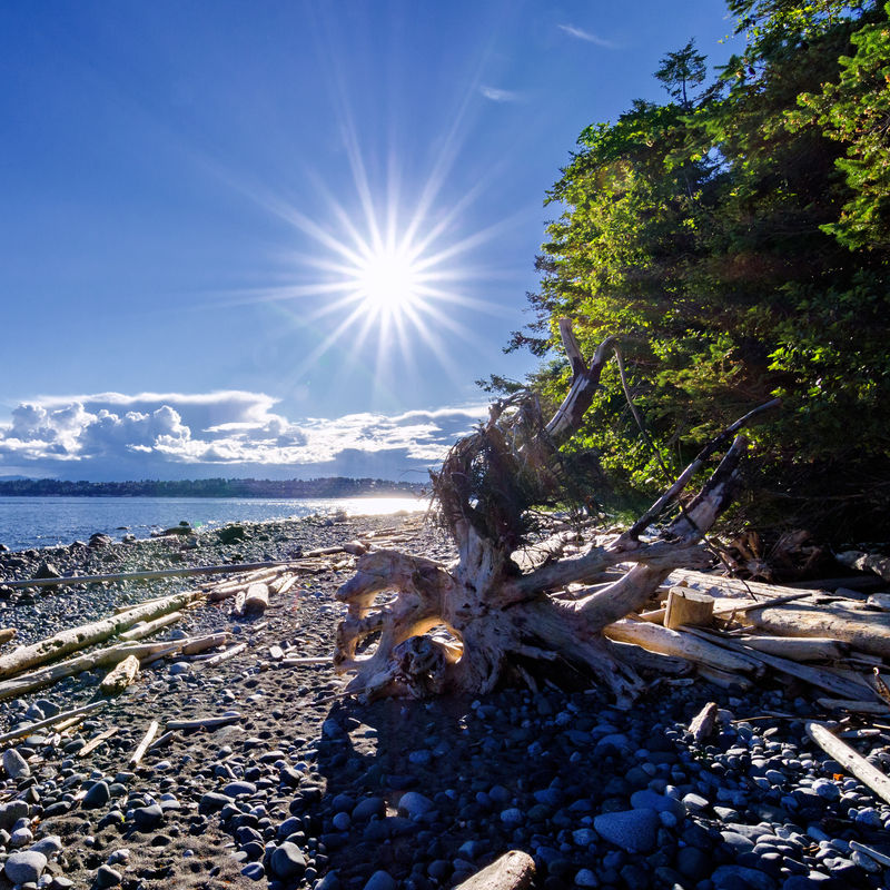 De zon schijnt op Quadra Island in Canada