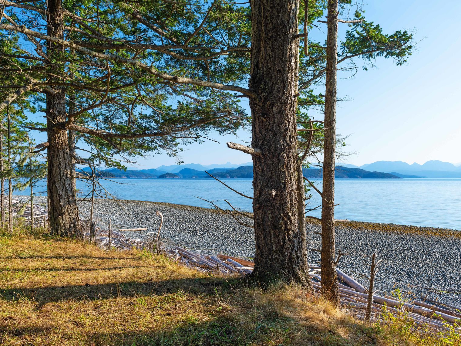 CAN quadra island view
