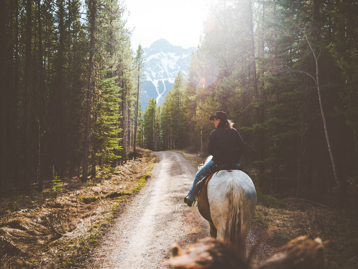 CAN Alberta Horseriding