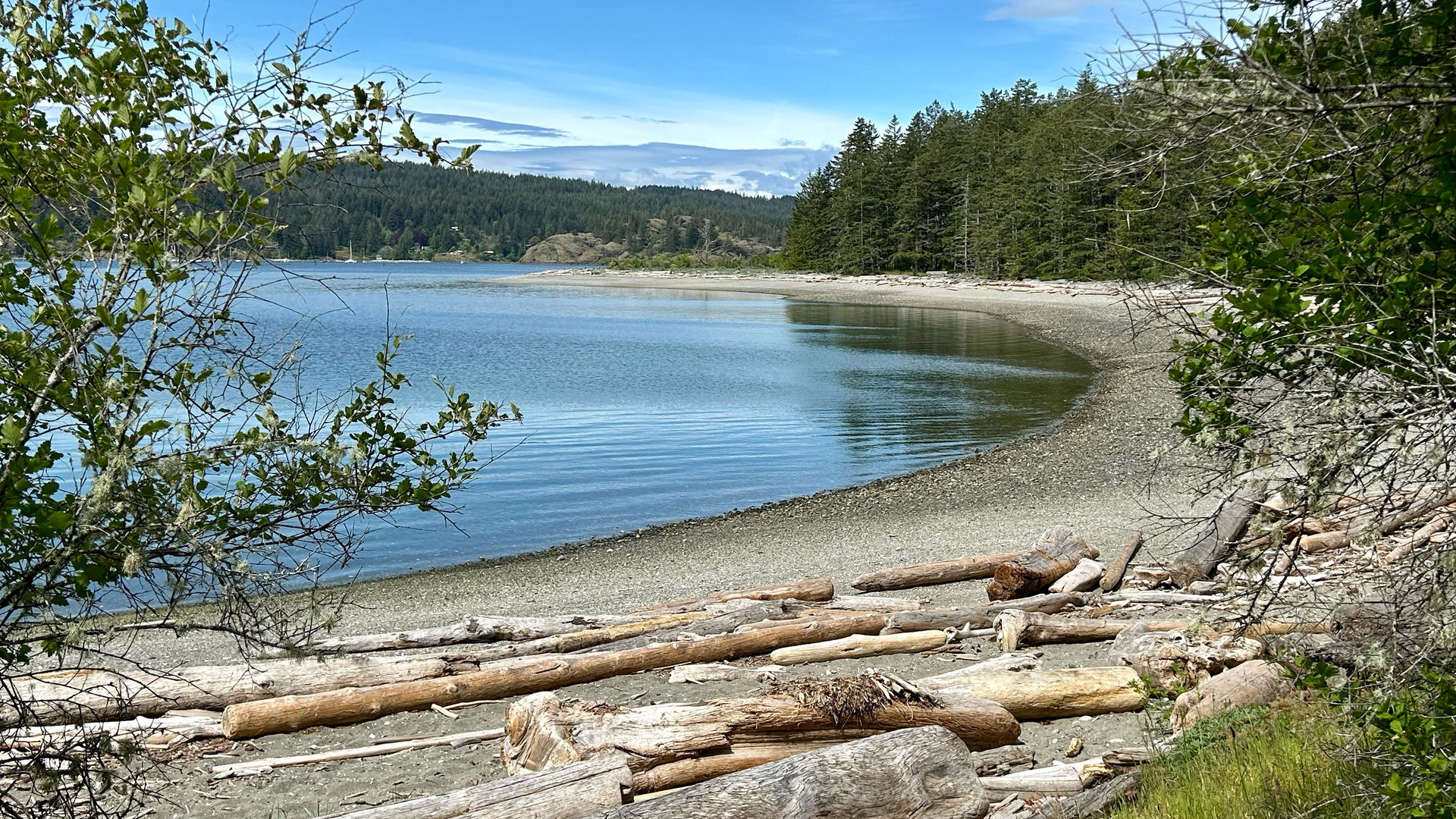 Ein ruhiger Strand mit Treibholz auf Quadra Island, mit Wald und Bergen jenseits des Wassers