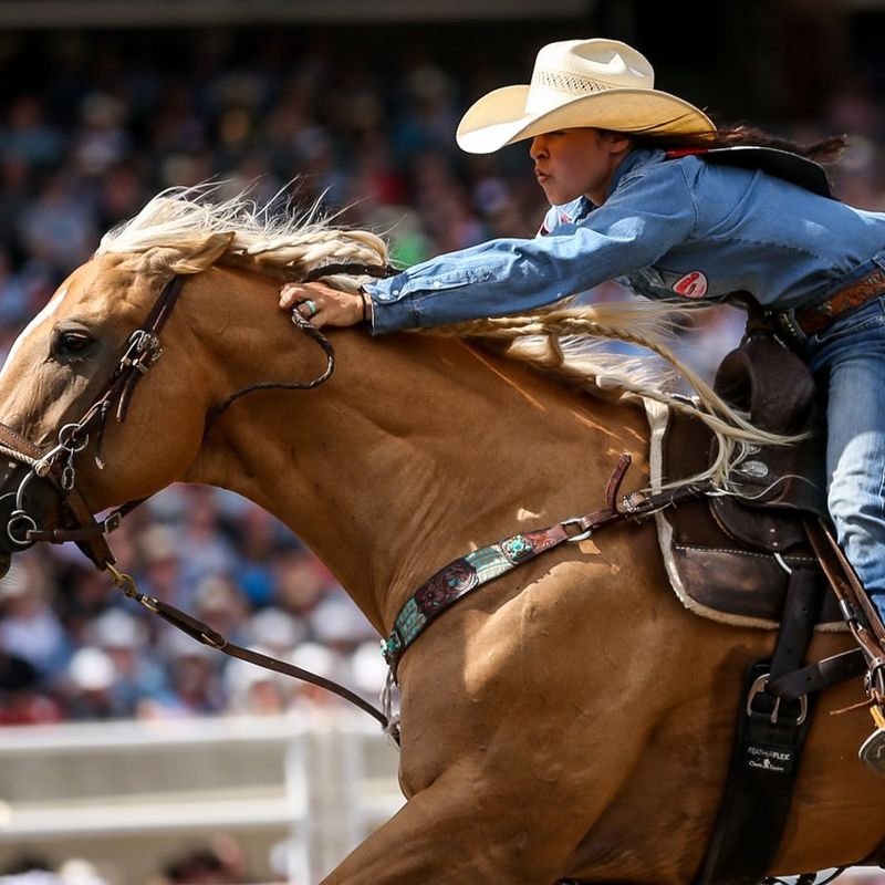 Cowgirl reitet auf Pferd auf der Calgary Stampede