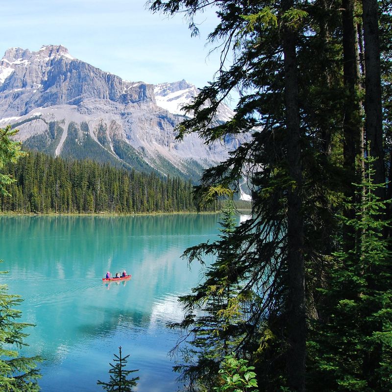Een kano peddelt over Emerald Lake in Yoho National Park, British Columbia, omringd door bomen en bergen.