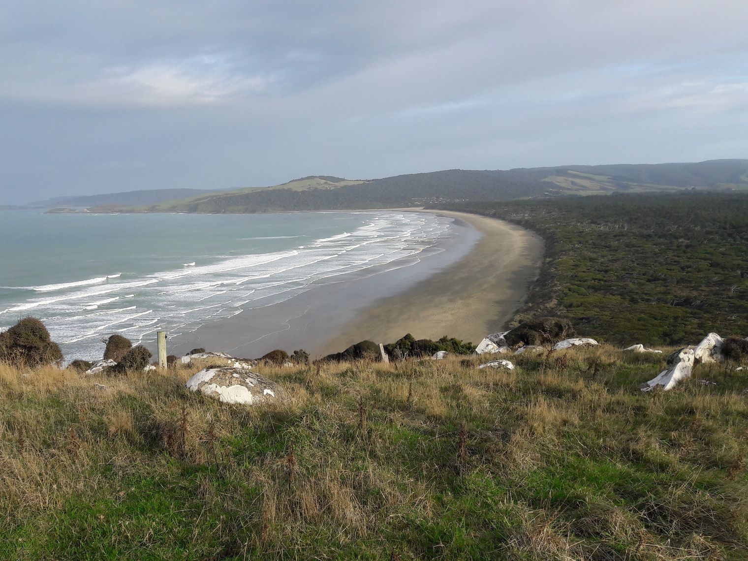 Catlins 03