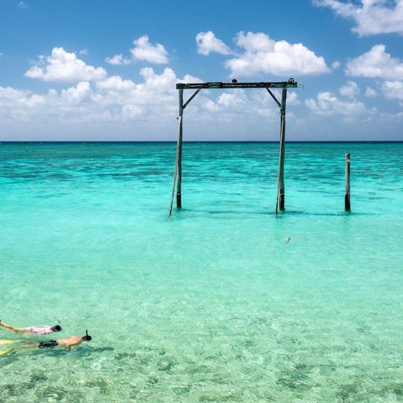 Heron Island