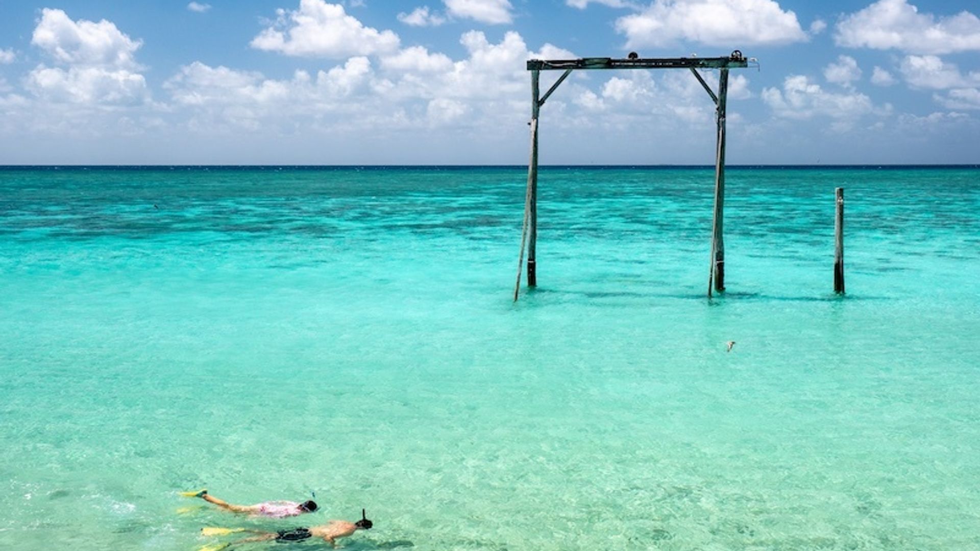 Heron Island