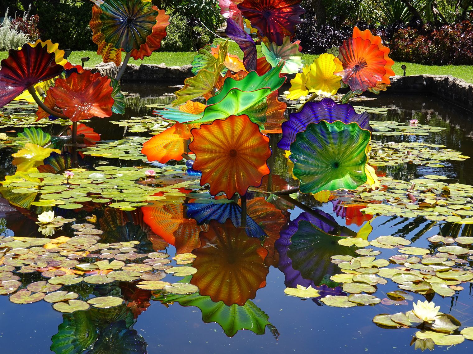 Australien Adelaide Botanic Garden Künstler Dale Chihuly